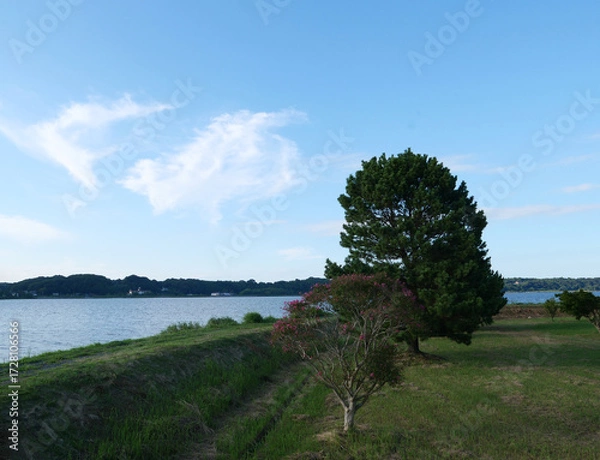Obraz ラムサールの湖沼、果てしなく広がる大空。暑かった一日が終わる。時折、優しい風が皮膚を撫でて通り過ぎていく。安寧なひと時。心も静かに深い世界に入っていく。鏡のような水面に突然波紋が広がる。ボラが飛び跳ねた。あっちでもこっちでも、ぴょんぴょん飛び跳ねた。そしてまた静かな世界が戻ってくる。今日一日の出来事を振り返り、何事もなかったことに感謝した。