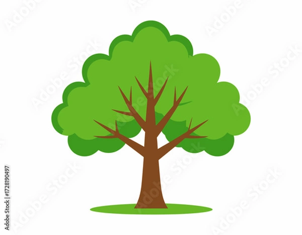 Fototapeta tree with green leaves