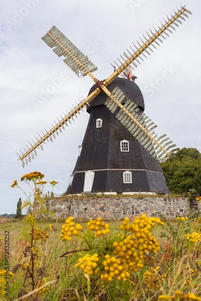 Fototapeta Grubbe Mølle