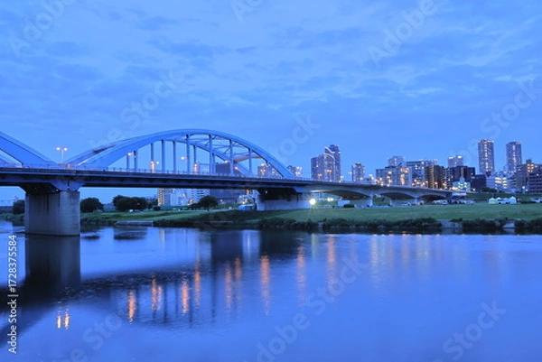 Fototapeta 多摩川と武蔵小杉のタワーマンション　夜景