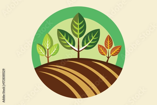 Fototapeta Three trees in different stages of growth on a plowed field