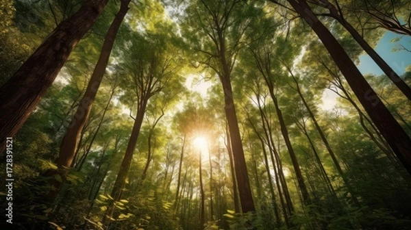 Fototapeta dense lush forest, towering trees, sunlight streaming through foliage, verdant undergrowth, magical woodland atmosphere, cinematic lighting, dramatic scale, intricate details, vibrant colors, hyperrea