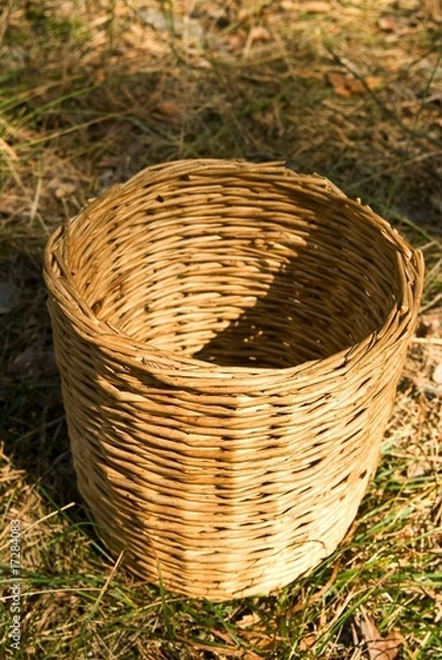 Obraz small basket in a forest