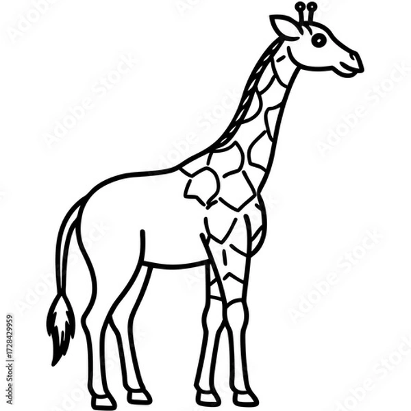 Obraz Giraffe Standing Outline Vector