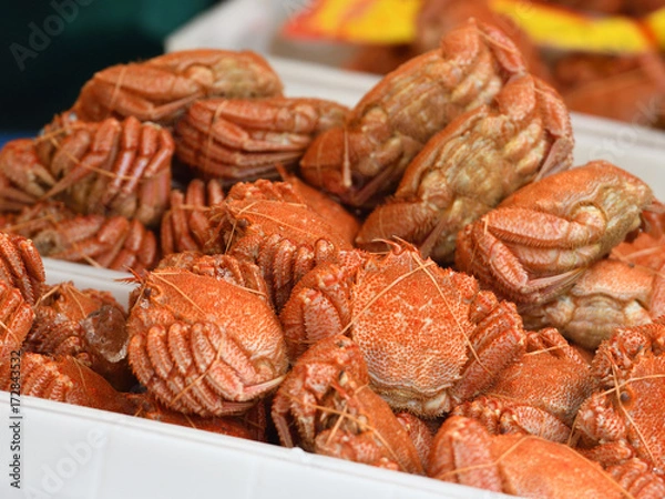 Obraz 北海道　枝幸　絶品の毛ガニ