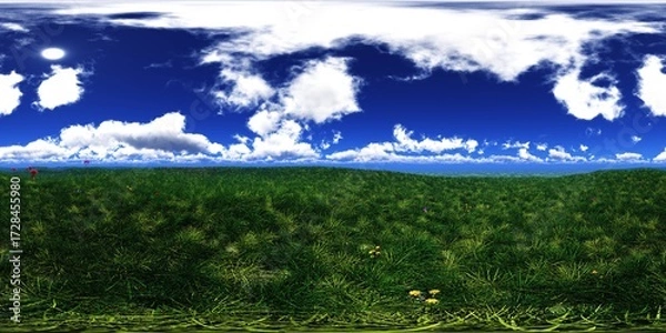 Obraz Panorama of a flower meadow, flower hills view, HDRI, environment map , Round panorama, spherical panorama, equidistant projection, panorama 360, 3d rendering
