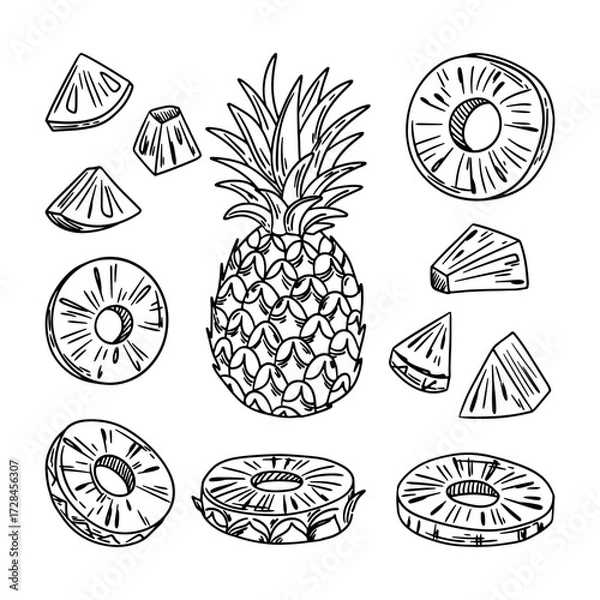 Fototapeta Set of vector pineapples. Sketch of pineapple slices, cubes and whole pineapple. Vector illustration.