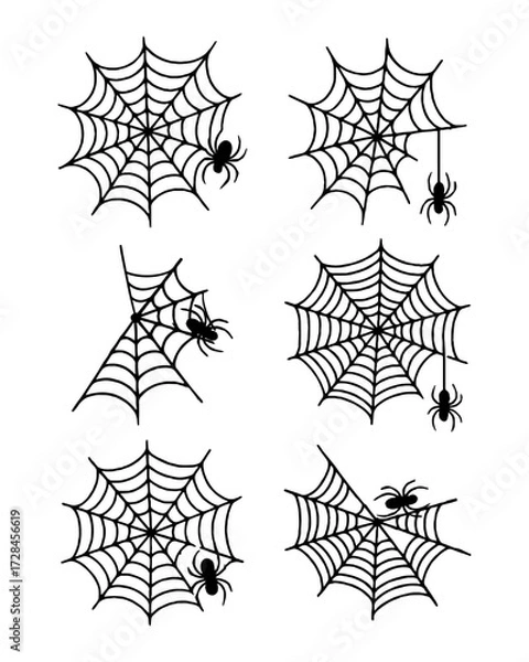 Fototapeta Set of spider webs. Vector spider web. Sketch for Halloween. Vector illustration