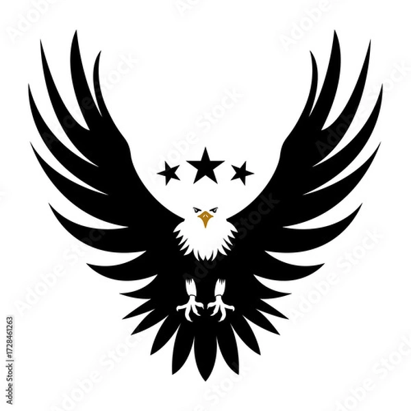 Obraz Eagle Silhouette Vektor and Illustration 