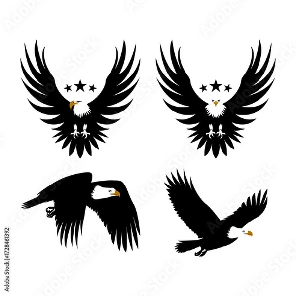 Obraz Eagle Silhouette Vektor and Illustration 