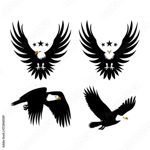 Obraz Eagle Silhouette Vektor and Illustration 