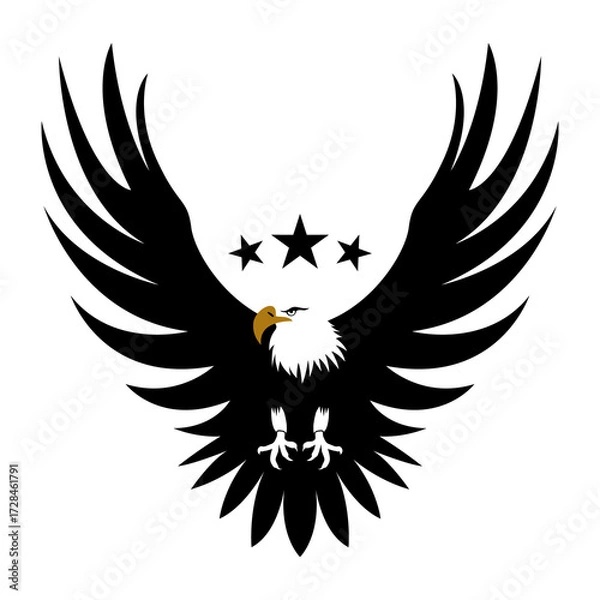 Obraz Eagle Silhouette Vektor and Illustration 