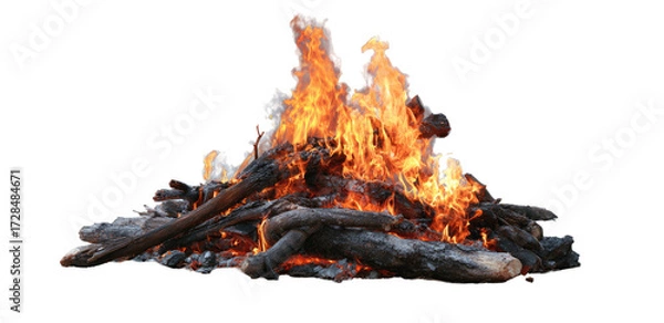 Fototapeta Campfire ablaze with flames