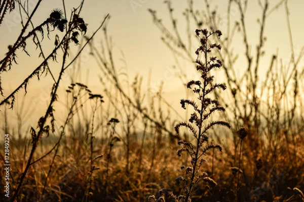 Obraz Cinematic view