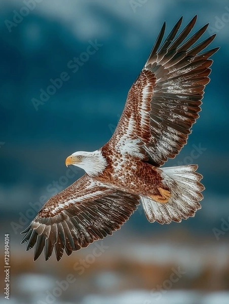 Fototapeta The eagle spread its wings and soared into the sky.