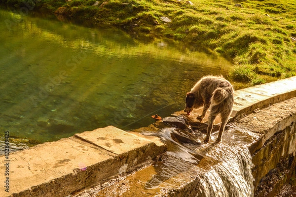 Obraz Natural elements