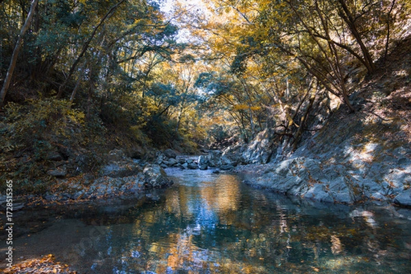 Fototapeta 秋の三波渓谷