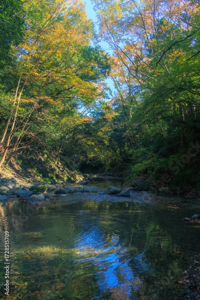 Fototapeta 紅葉した渓谷