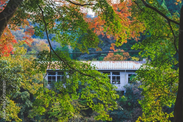 Fototapeta 鎌北湖の廃墟