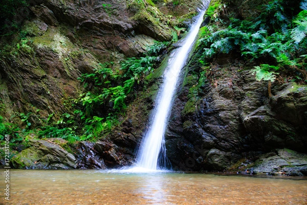 Fototapeta 宿谷の滝