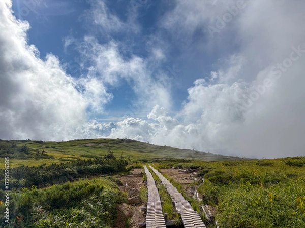 Fototapeta 薬師岳と雲１