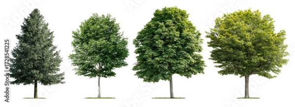 Obraz Four Trees in a Row