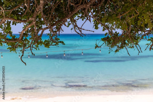Obraz VIew of the Caribbean sea near the Haiti border. Tranquil, crystal clear, turquoise Caribbean sea, tree leaves in the foreground, a string of lights. Peaceful vacation spot. Tropical paradise. 