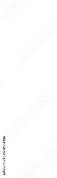 Obraz Transparent Tape