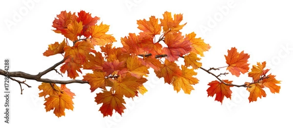 Obraz Autumn leaves on a branch