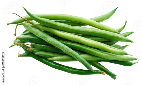 Obraz Fresh green beans piled together
