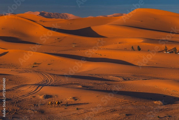 Fototapeta Golden dunes of the Sahara Desert in Morocco at sunset – scenic sand landscape with waves of dunes and dramatic light in North Africa