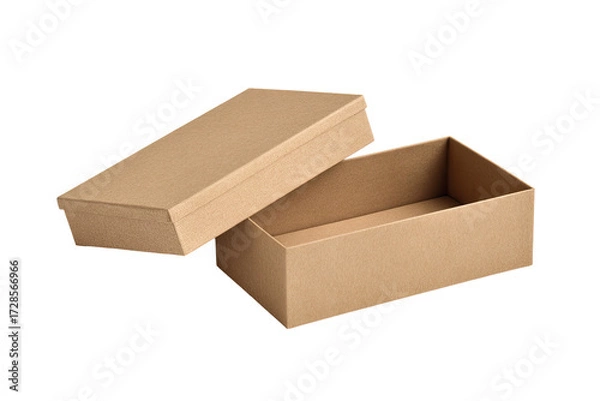Obraz Open cardboard box, light brown