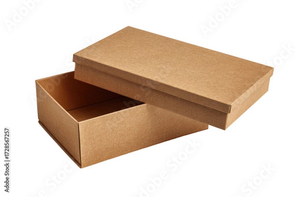 Obraz Open cardboard box, light brown (1)