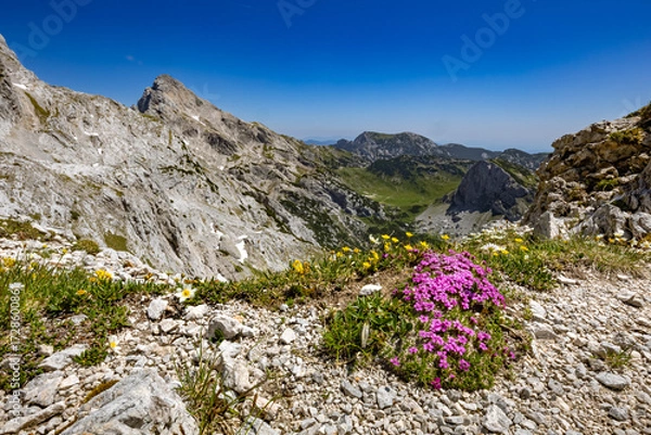 Fototapeta A view of Ojstrica mountain from the Srebrno sedlo in Kamnik-Savinja Alps, Slovenia