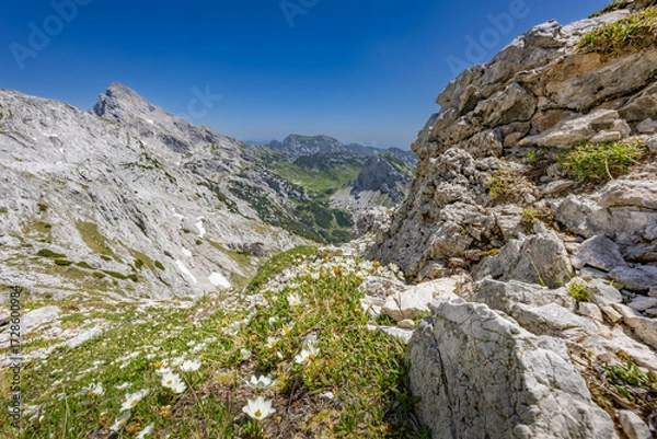 Fototapeta A view of Ojstrica mountain from the Srebrno sedlo in Kamnik-Savinja Alps, Slovenia