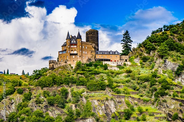 Fototapeta German Castle beside the River Rhine