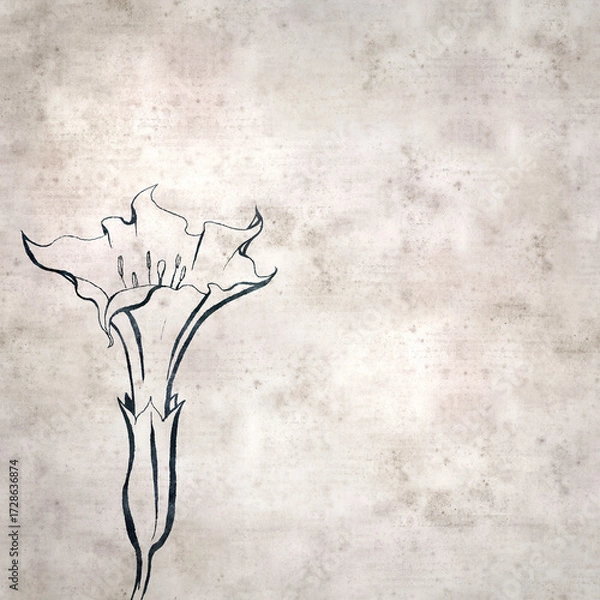 Obraz textured stylish old paper background, square,  with  Datura stramonium, thornapple