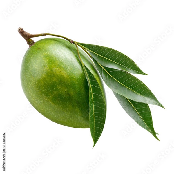 Fototapeta Png of fresh green mango with leaves isolated on transparent background, showcasing its vibrant color and natural texture