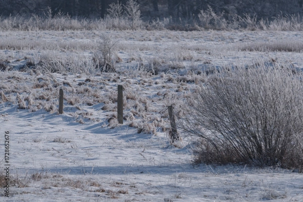 Obraz FROSTY WINTER - Snow in the river valley and morning rime on trees and grass
