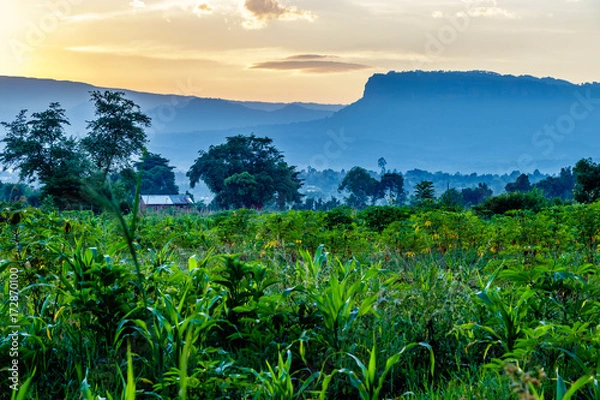 Obraz View from the Sipi falls in the Mount Elgon national park in Uganda