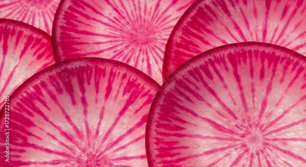 Fototapeta Radish sliced thinly, macro detail of pink and white rings