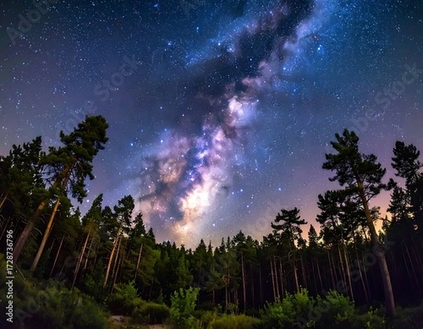 Fototapeta Night sky over a dark forest