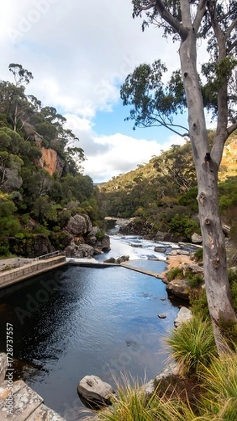 Obraz Mountain River Valley