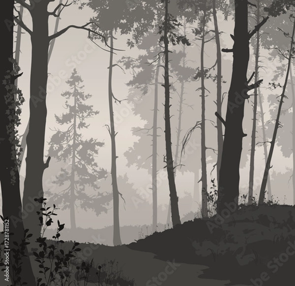 Obraz Vector illustration - forest with different plants and trees.