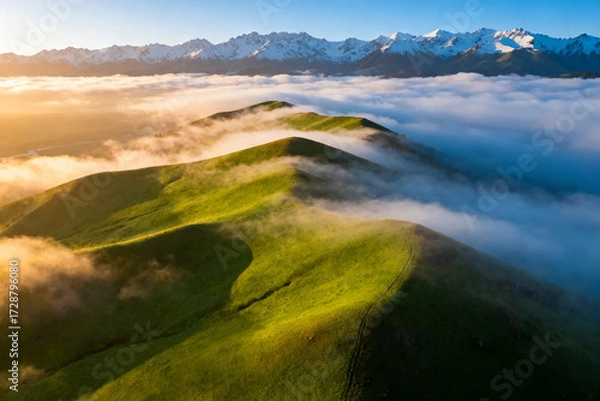 Fototapeta Aerial view of rolling green hills above a sea of clouds with snow-capped mountains in the distance at sunrise