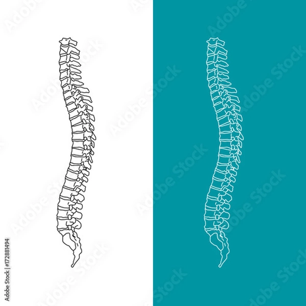 Fototapeta Vector illustration white spine diagnostic symbol, design, sign. Diagnostic center. Flat and solid color style design