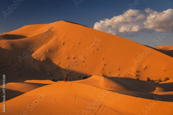 Obraz Endless Sahara Desert dunes in Morocco – rolling sand hills and breathtaking desert landscape in North Africa