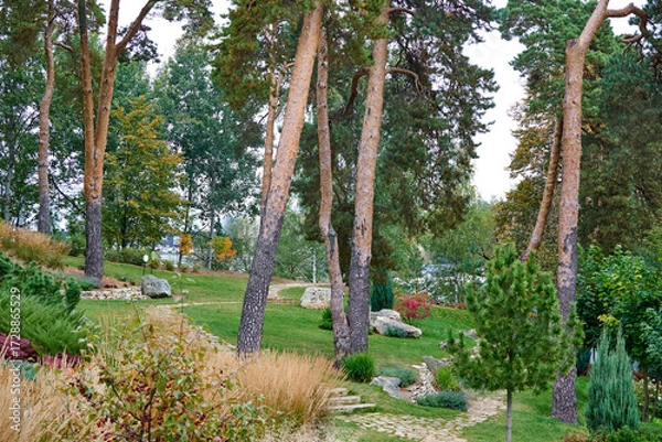 Obraz A public place.
Summer city park, urban park landscaping, plants, trees