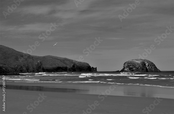 Fototapeta Sunny Waves