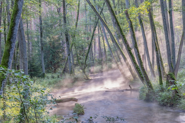 Fototapeta  Mglisty poranek nad rzeką na Mazurach.